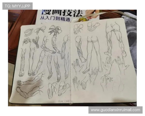 初学者必读的举重基础教程从入门到精通技巧和训练方法解析