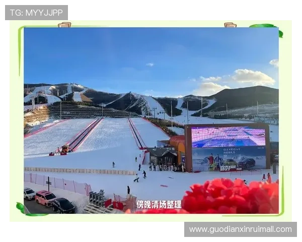 全面提升滑雪技巧的系统教学视频指导课程助你安全自信上雪场全方位